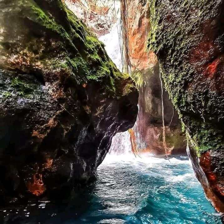 Pochote Lodge Guayabo  Экстерьер фото